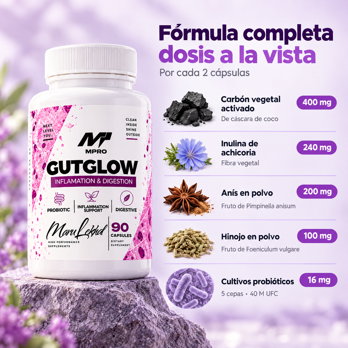 Fórmula de GUTGLOW por 2 cápsulas: carbón vegetal activado 400 mg, inulina de achicoria 240 mg, anís 200 mg, hinojo 100 mg y cultivos probióticos 16 mg